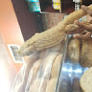 Meet your Posher, Franklin